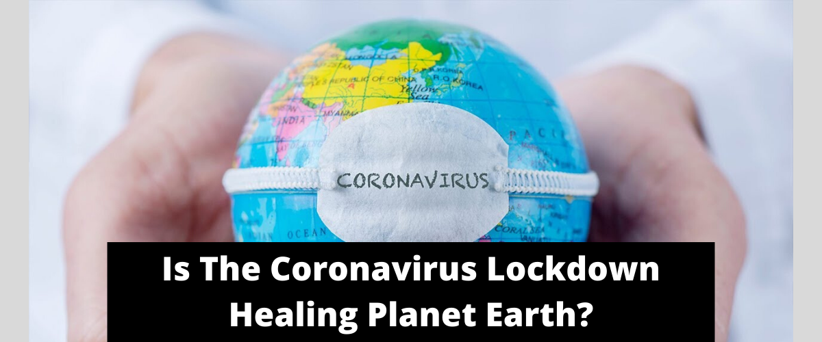Is The Coronavirus Lockdown Healing Planet Earth?